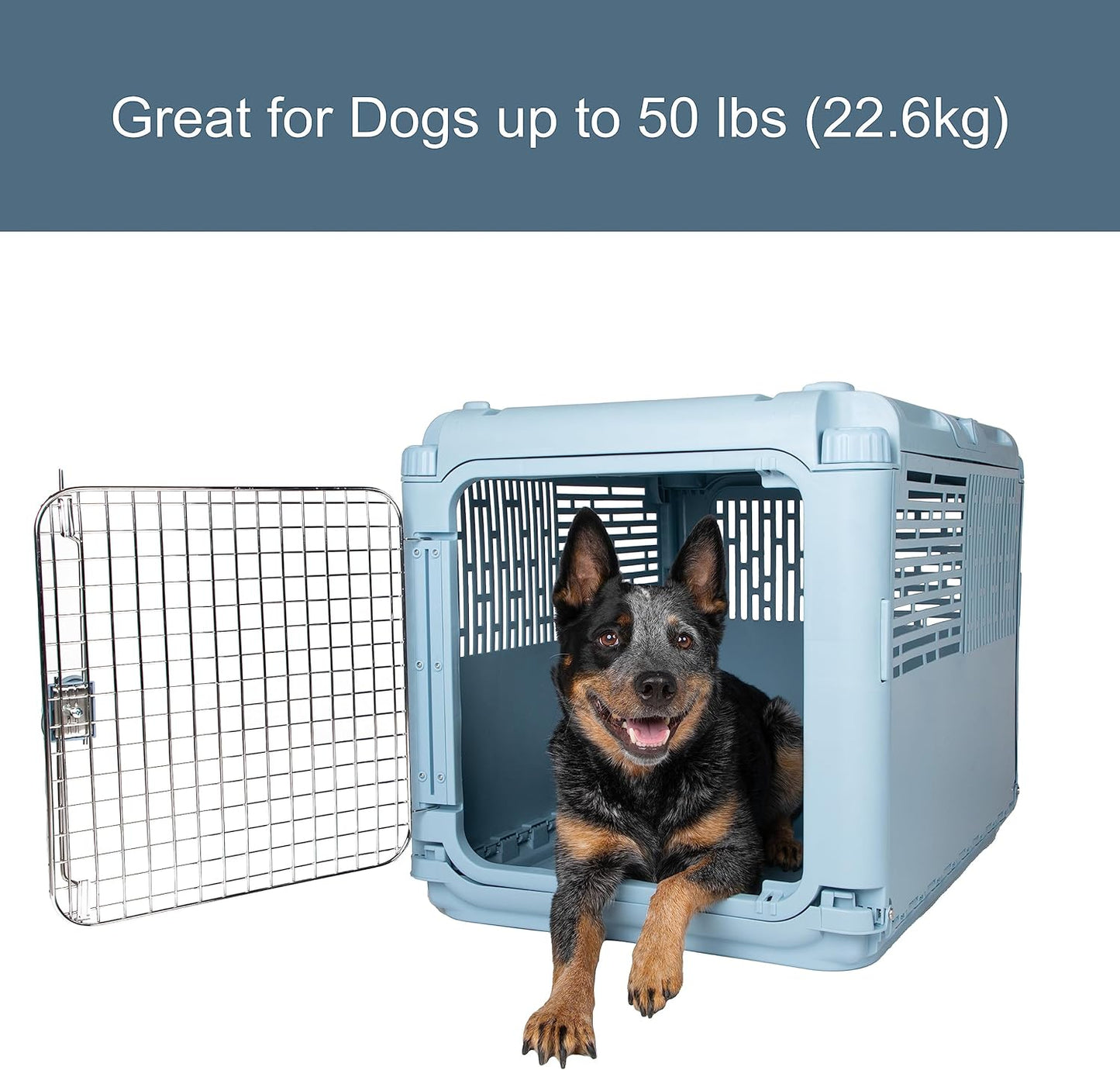 SportPet Designs Plastic Kennels Rolling Plastic Airline Approved Wire Door Travel Dog Crate, XXX-Large, Gray