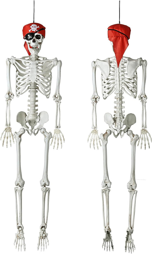 Halloween decoration skull skull