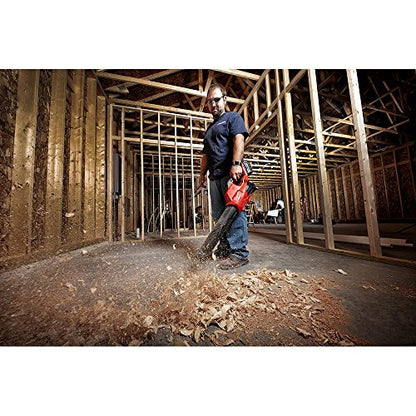 Lithium-Ion Brushless Cordless Handheld Hair Dryer