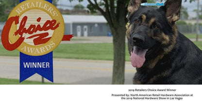 Booster Bath Elevated Pet Bathing Large Teal Steps Combo