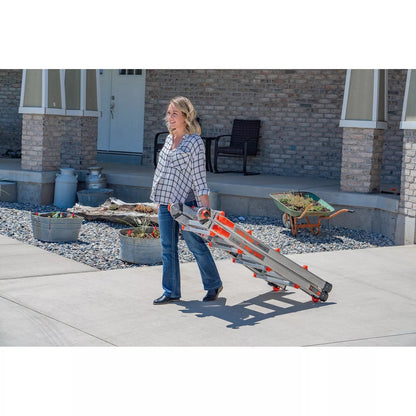 Little Giant Velocity Model 17 Multi-Use Ladder Type 1A