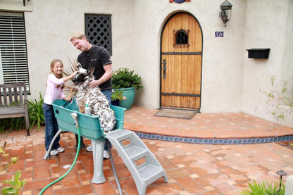 Booster Bath Elevated Pet Bathing Large Teal Steps Combo