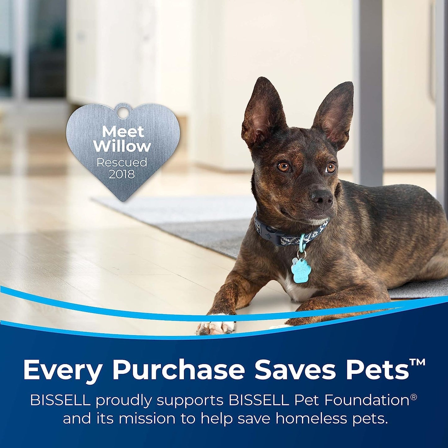 Bissell Multi-Purpose Portable Carpet and Upholstery Cleaner, 1400B