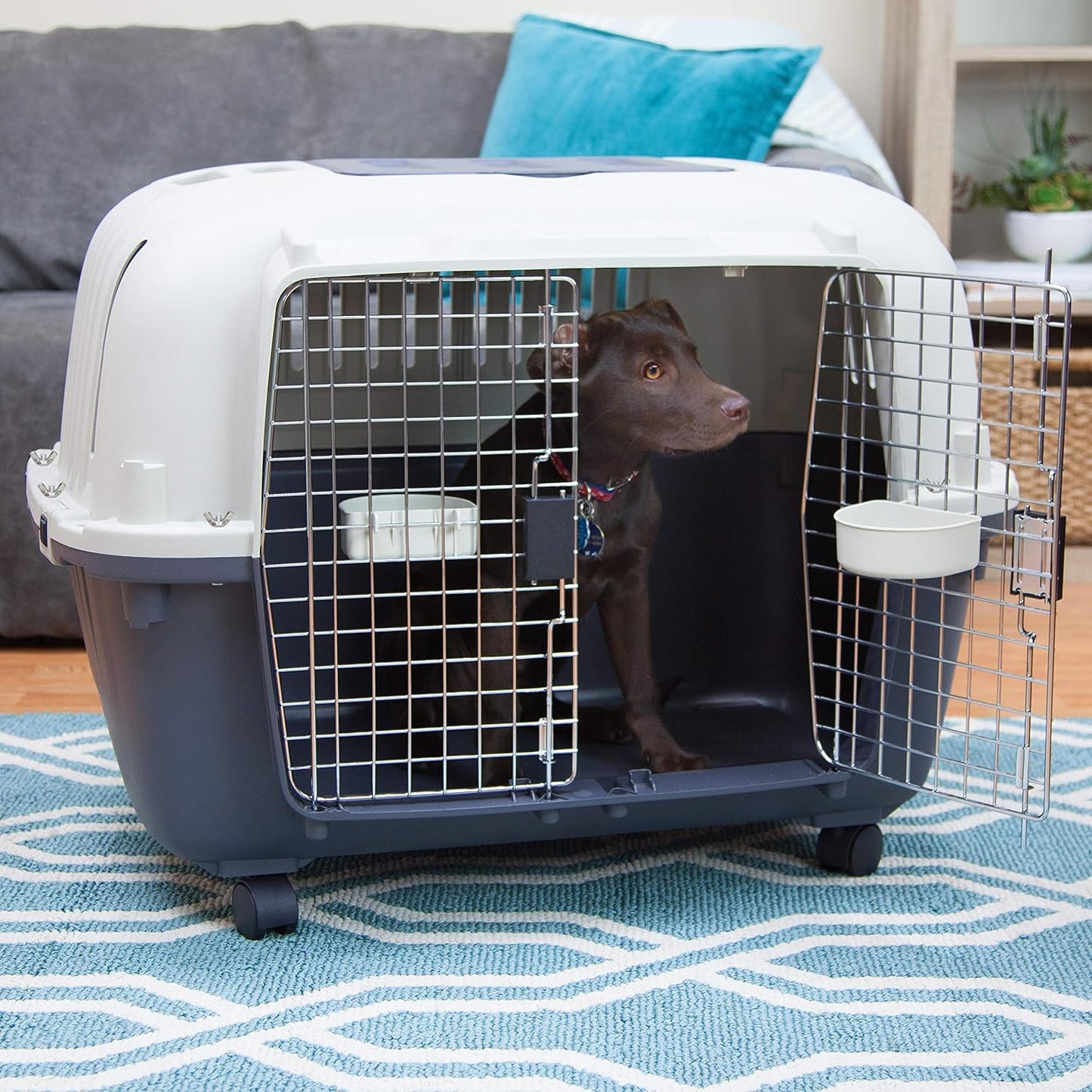 SportPet Designs Plastic Kennels Rolling Plastic Airline Approved Wire Door Travel Dog Crate, XXX-Large, Gray