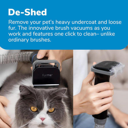 Professional Plus Pet Grooming Vacuum Kit, 5 Pet Grooming Tools, 2L Canister, Works for All Dogs, Cats, and Pet Fur