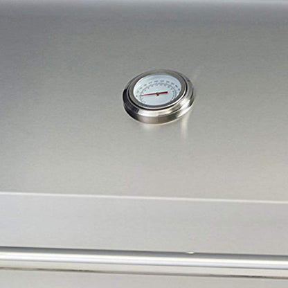 Natural Gas Outlaw Drop-In Grill Head in Stainless Steel