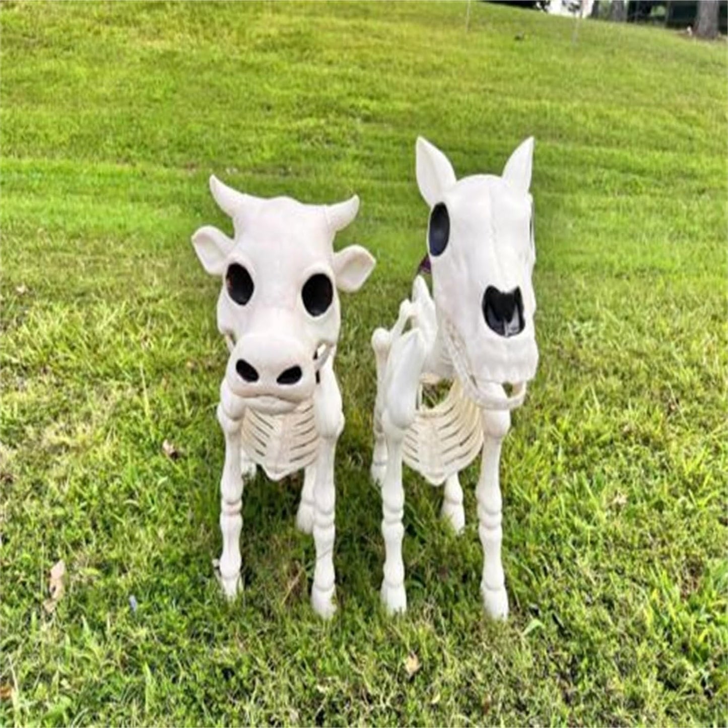 2023 Cow Skeleton, Halloween Decoration