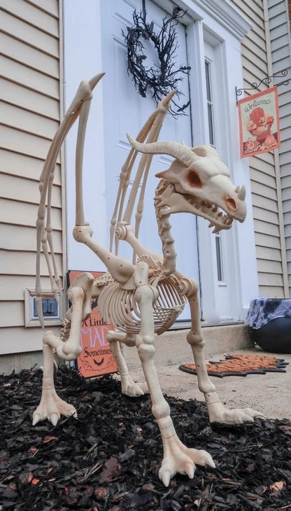 Large 4ft pterosaur skeleton, halloween decoration