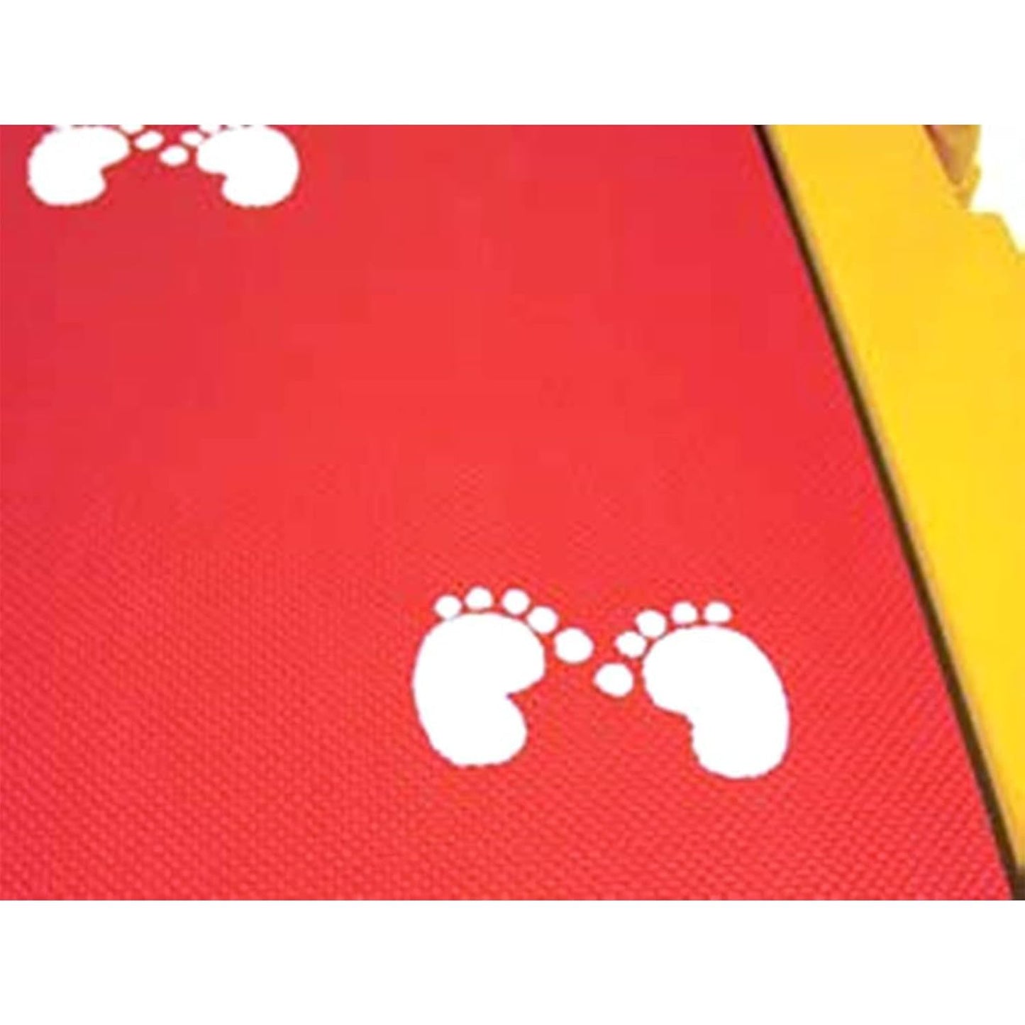 Redmon Fun and Fitness Exercise Equipment for Kids - Weight Bench Set,Incline