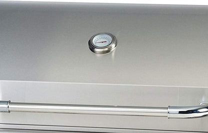 Natural Gas Outlaw Drop-In Grill Head in Stainless Steel