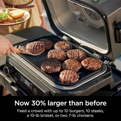 7-in-1 Grill & Smoker with Thermometer, Air Fryer, BBQ, Bake, Roast, Broil - Portable Electric Outdoor Grill, Grey